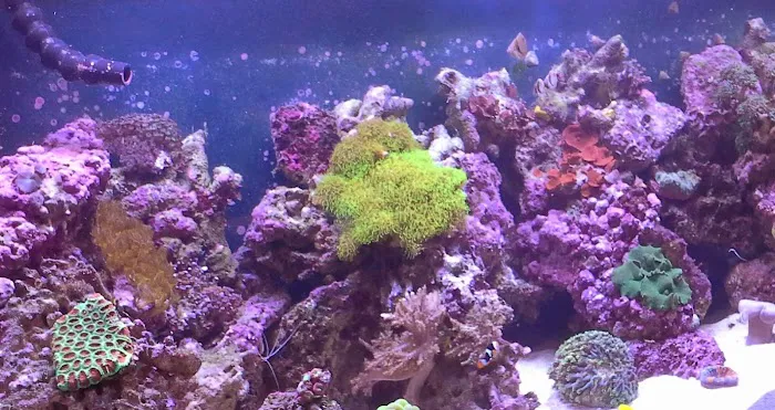 Sealife Services Picture 6
