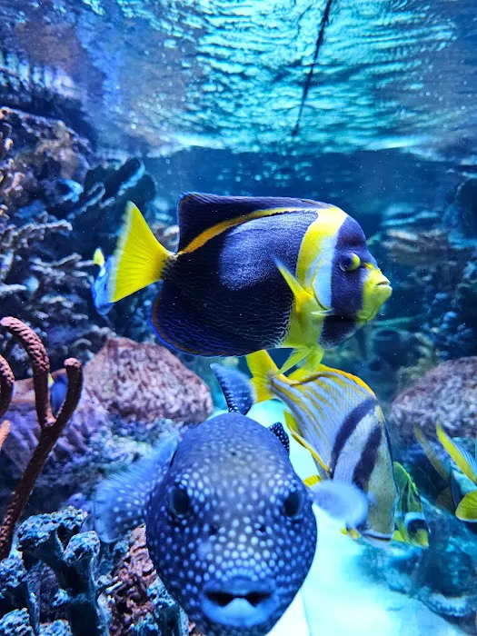 Sealife Services Picture 7