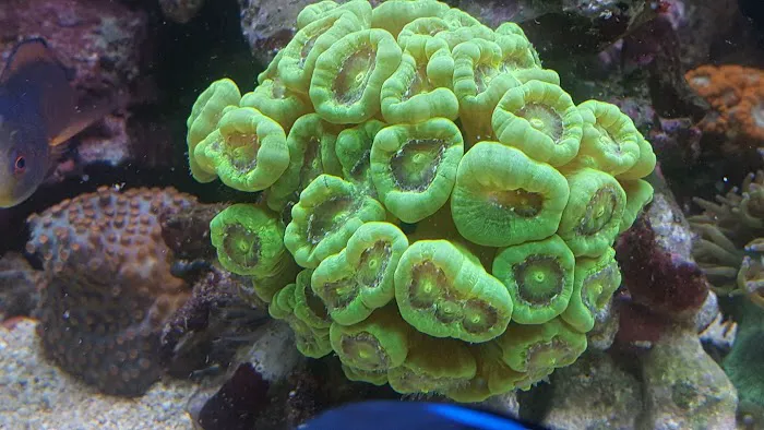 Sealife Services Picture 1