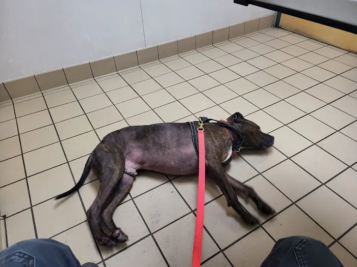 Perry Veterinary Clinic Picture 1