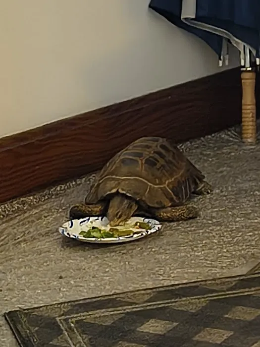 Dope Exotics Reptiles Picture 4