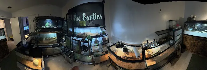 Dope Exotics Reptiles Picture 3
