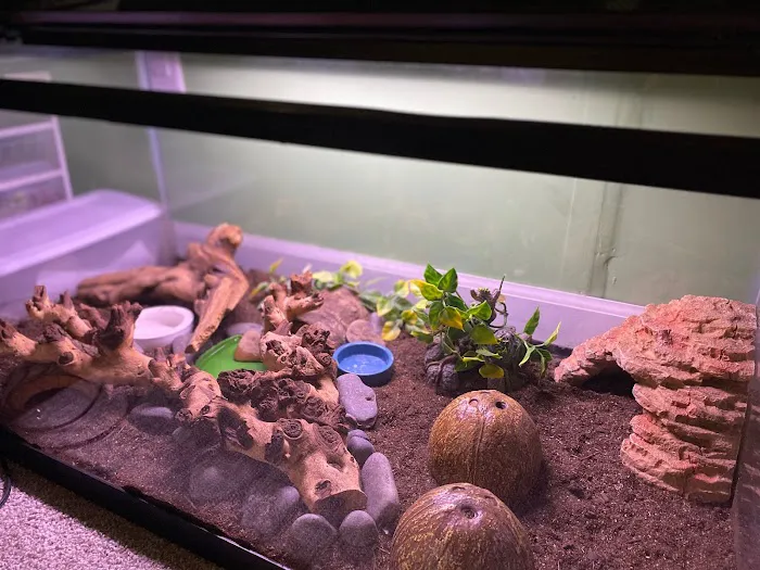 Dope Exotics Reptiles Picture 6