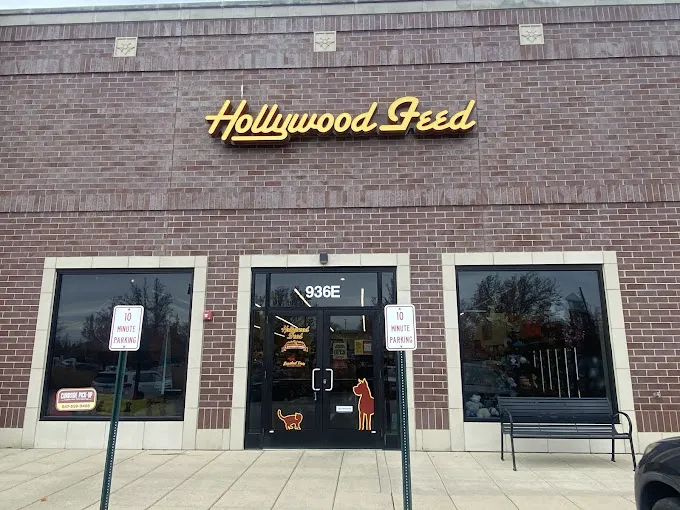 Hollywood Feed Picture 3