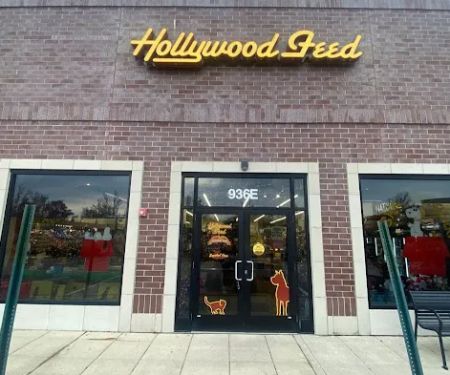 Hollywood Feed