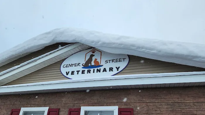 Center Street Veterinary Picture 4