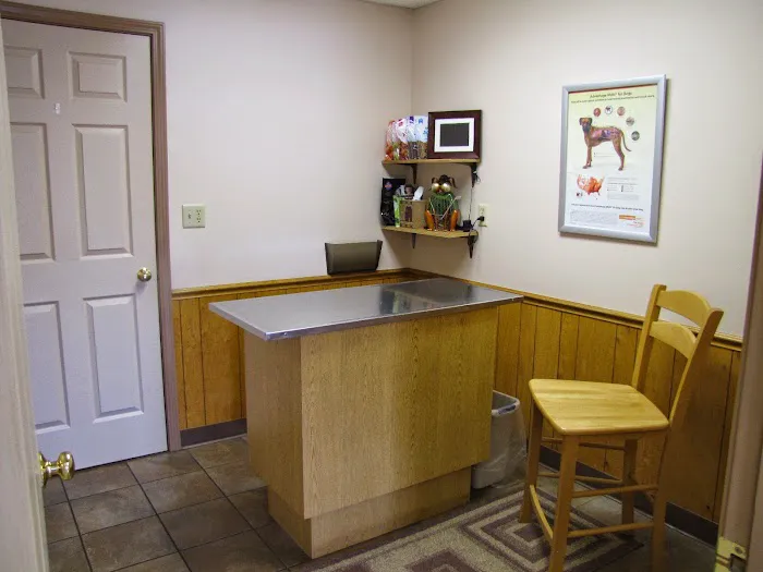 Center Street Veterinary Picture 8
