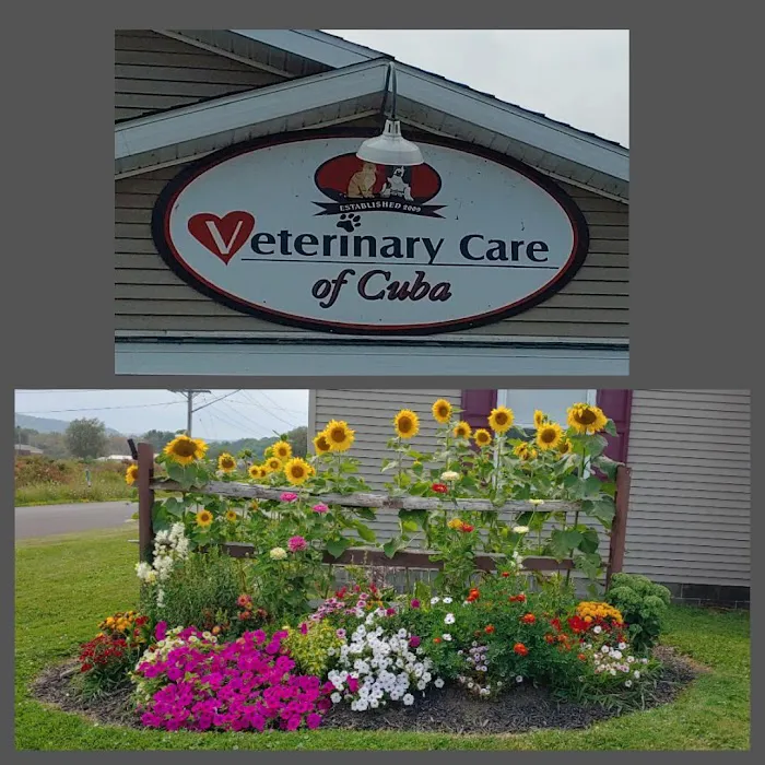 Center Street Veterinary Picture 6
