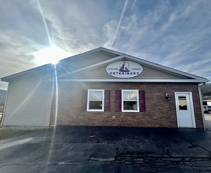 Center Street Veterinary Picture 9