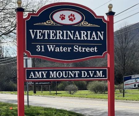 Your Hometown Vet