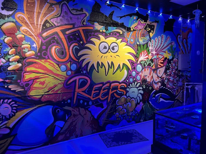 JJ Reefs Picture 10
