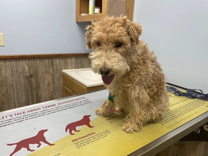 Laurel Hill Veterinary Service, Inc. Picture 6