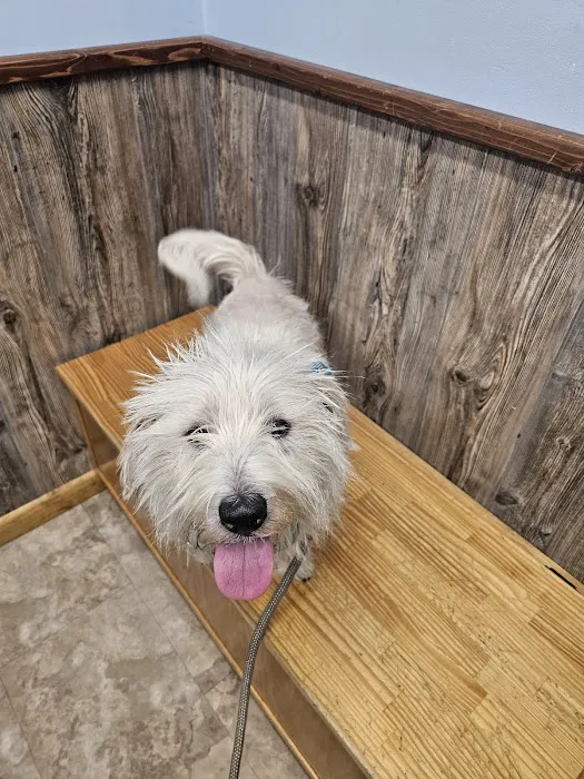 Laurel Hill Veterinary Service, Inc. Picture 10