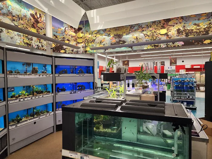 Petco Picture 6