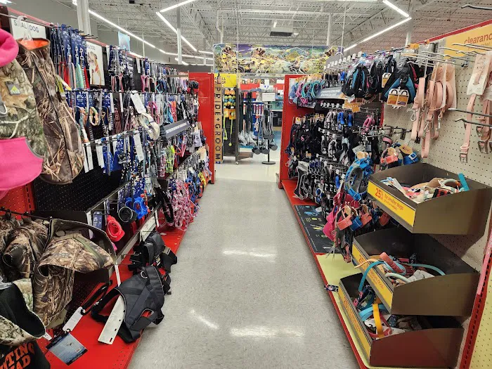 Petco Picture 8