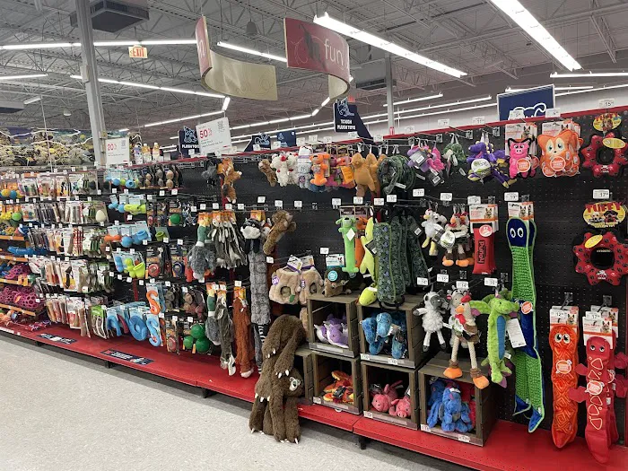 Petco Picture 2