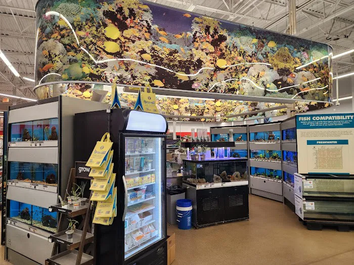 Petco Picture 7
