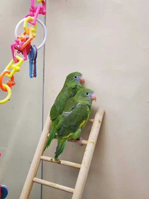 Petco Picture 10