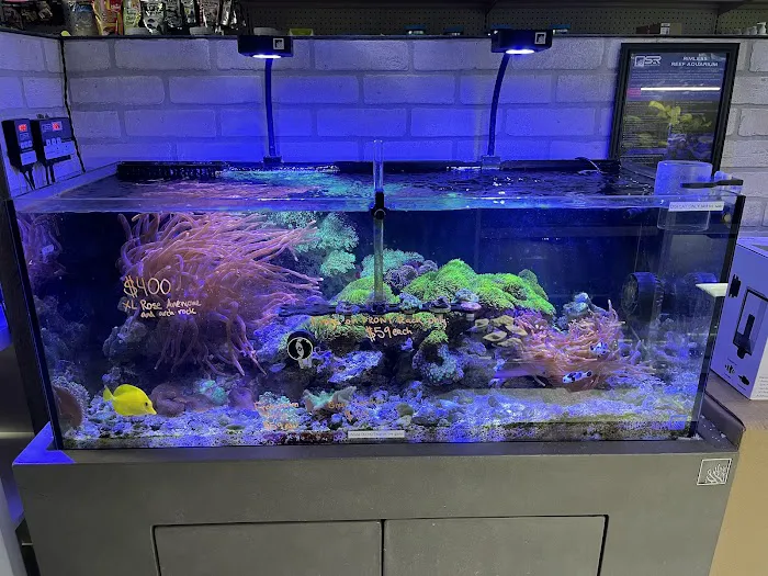 Beyond the Reef Picture 9