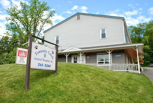 Towanda Creek Animal Hospital Picture 3