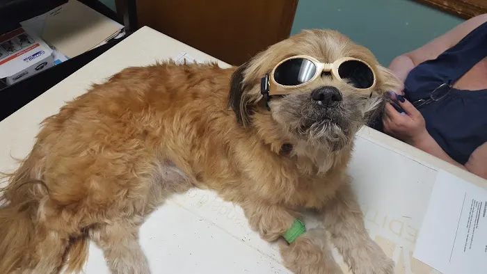 Towanda Creek Animal Hospital Picture 7