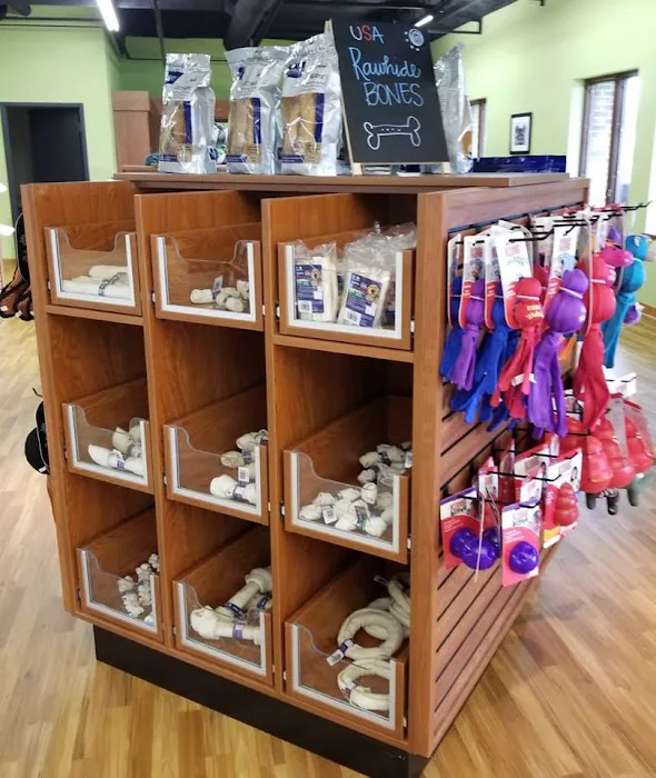 Golf Rose Pet Store Picture 7