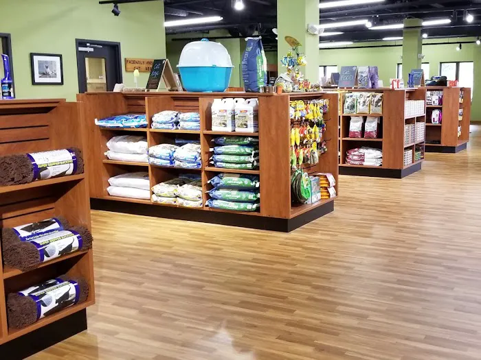 Golf Rose Pet Store Picture 5