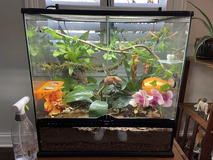 Zoo-Tropic Exotics Picture 3