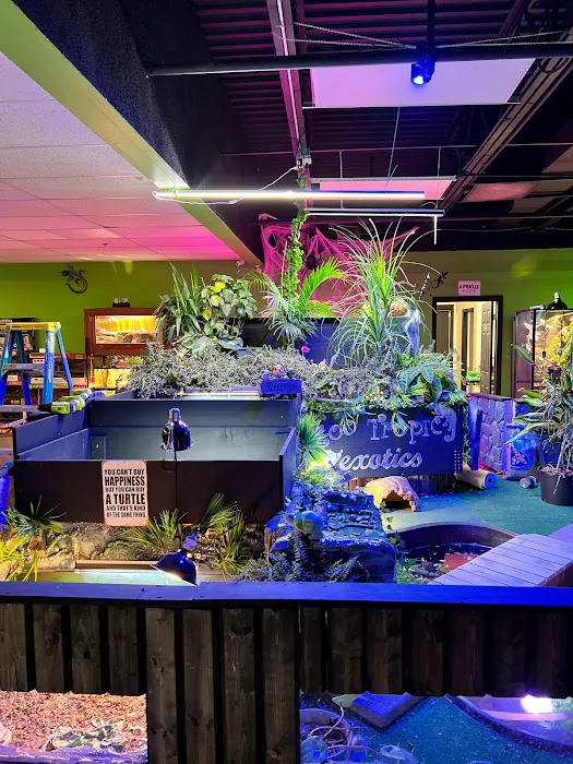 Zoo-Tropic Exotics Picture 2