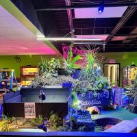 Zoo-Tropic Exotics ico