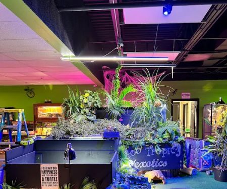 Zoo-Tropic Exotics