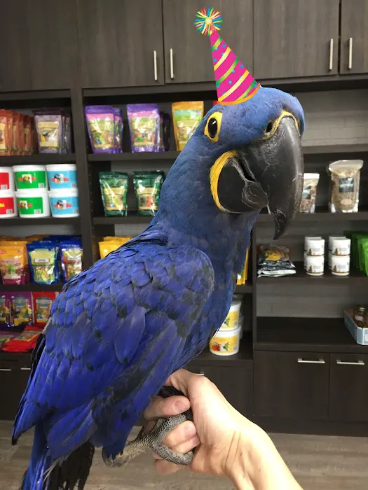 Parrot Stars Parties and Education Center Picture 1