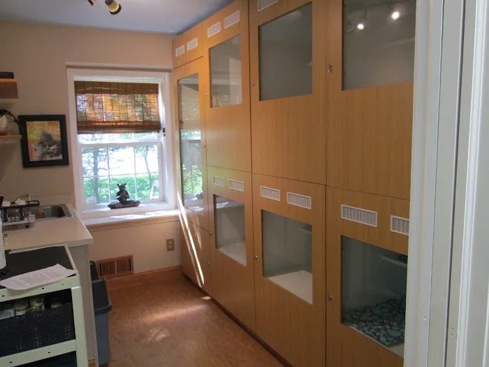 Cats Exclusively Veterinary Hospital Picture 6