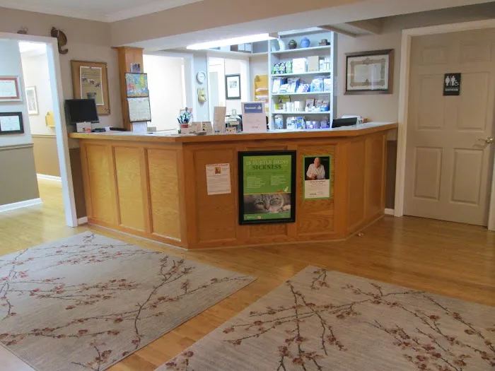 Cats Exclusively Veterinary Hospital Picture 1