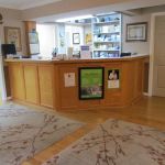 Cats Exclusively Veterinary Hospital