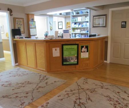 Cats Exclusively Veterinary Hospital