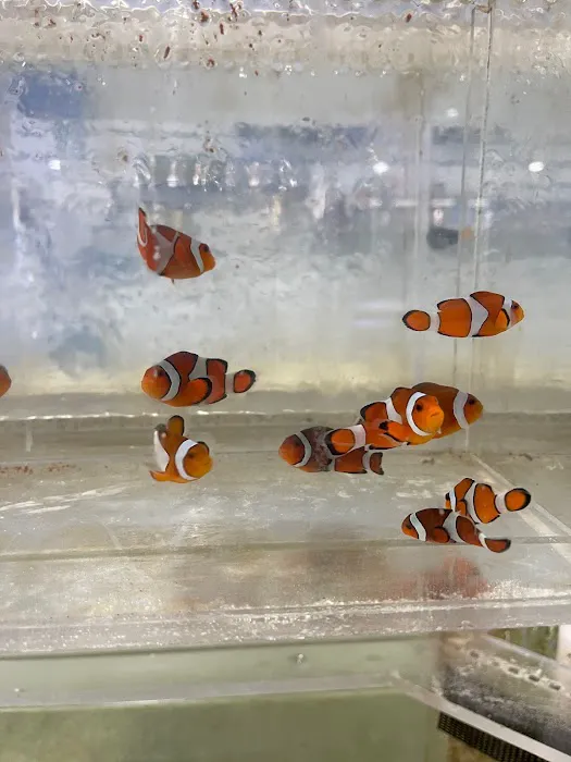 650 Oceans Reef Inc Picture 3