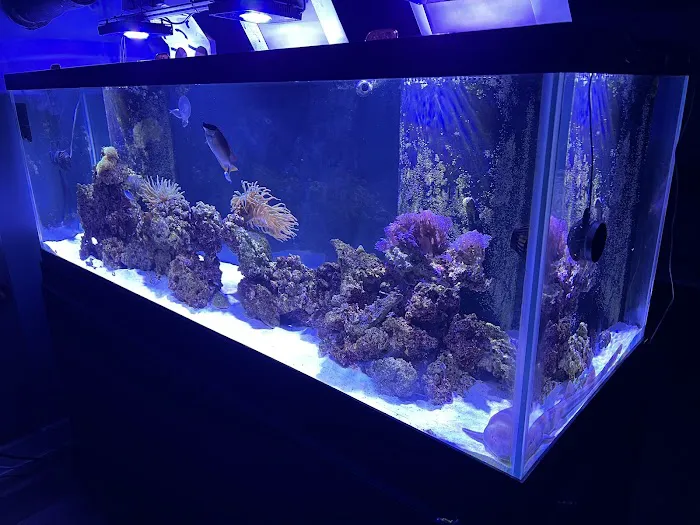 650 Oceans Reef Inc Picture 2