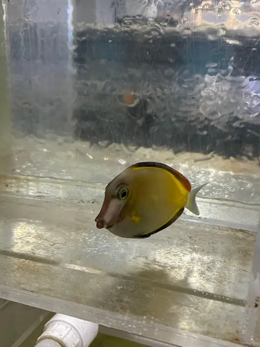 650 Oceans Reef Inc Picture 4