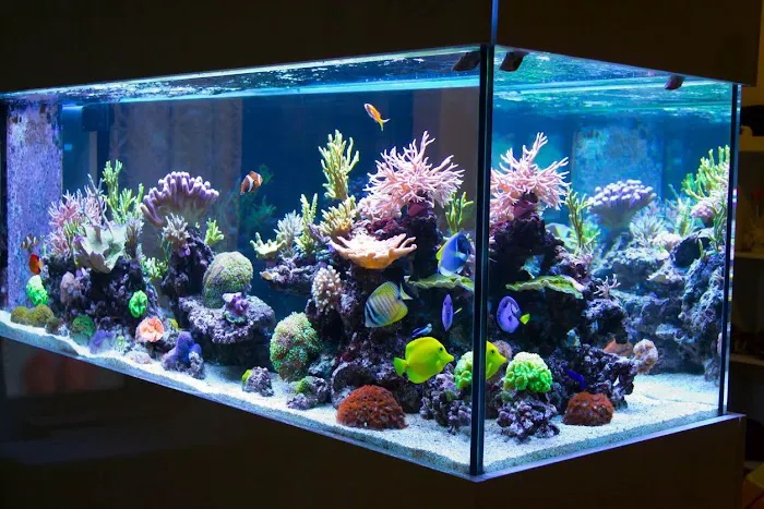 650 Oceans Reef Inc Picture 7