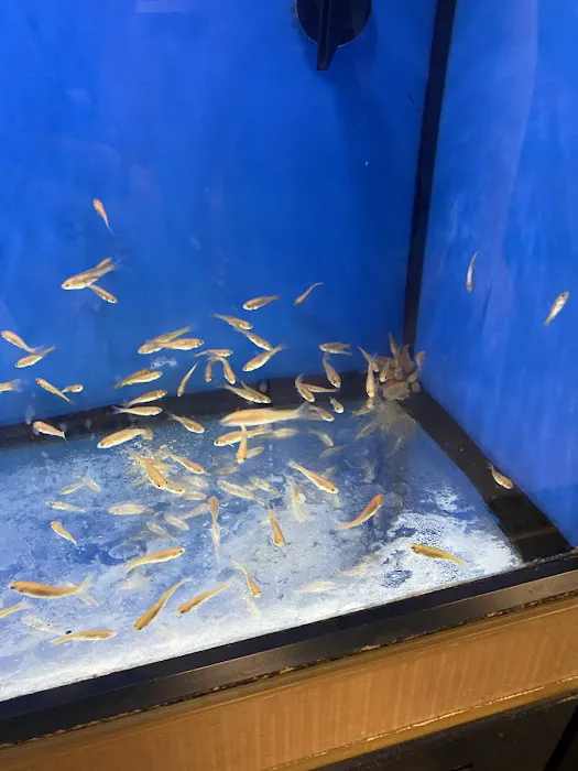 Petco Picture 1