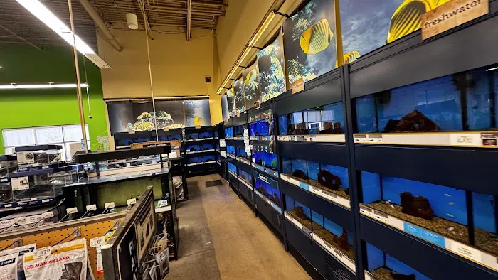 Petco Picture 8