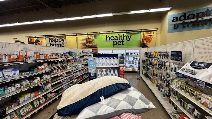 Petco Picture 7