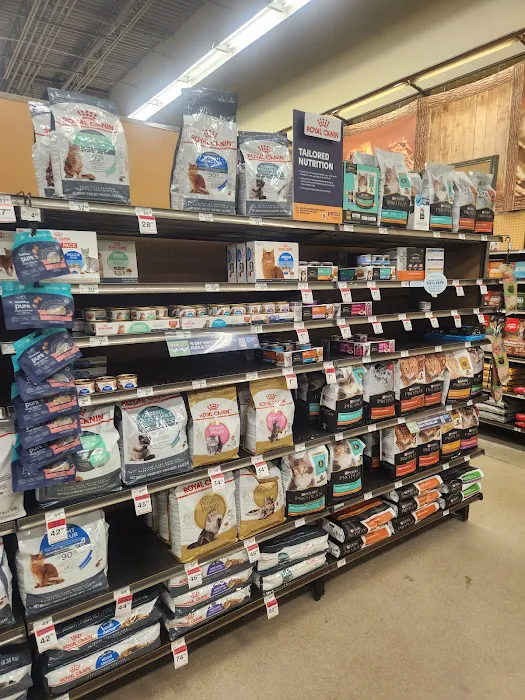 Petco Picture 4