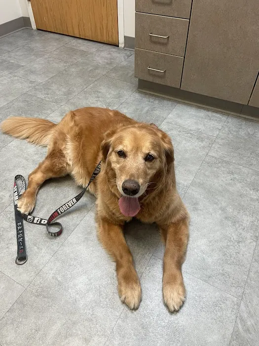 Penfield Veterinary Hospital Picture 9