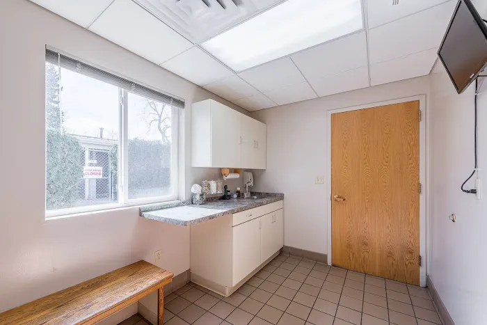 Brighton Animal Hospital, PC Picture 10