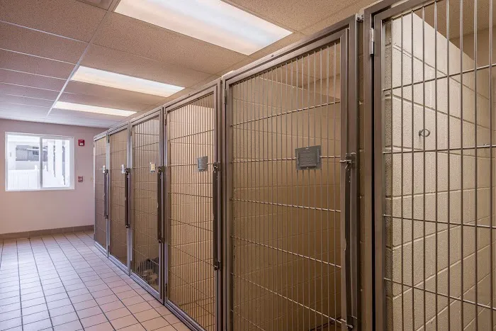 Brighton Animal Hospital, PC Picture 7