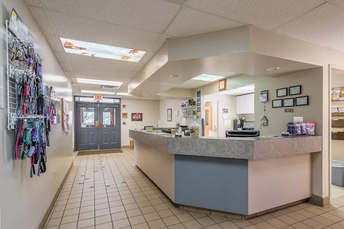 Brighton Animal Hospital, PC Picture 1