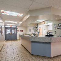 Brighton Animal Hospital, PC ico
