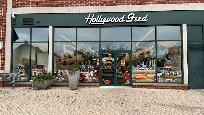 Hollywood Feed Picture 7